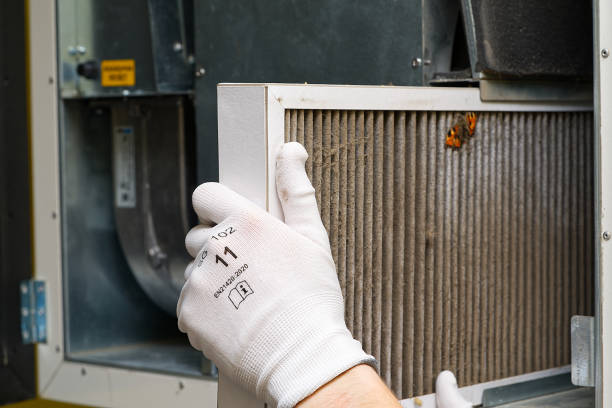 Best Professional Duct Cleaning Services  in Meadow Woods, FL