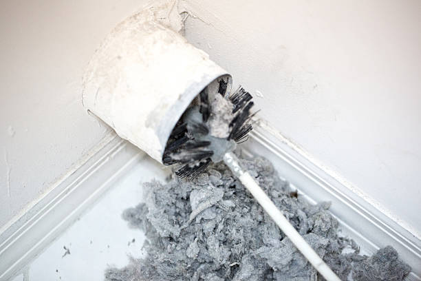 Air Duct Mold Removal in Meadow Woods, FL